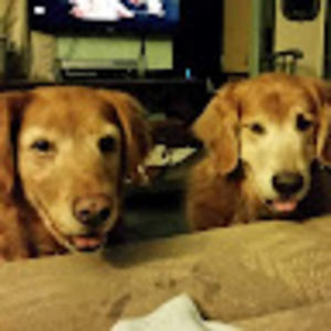 Meet your Posher, Cj